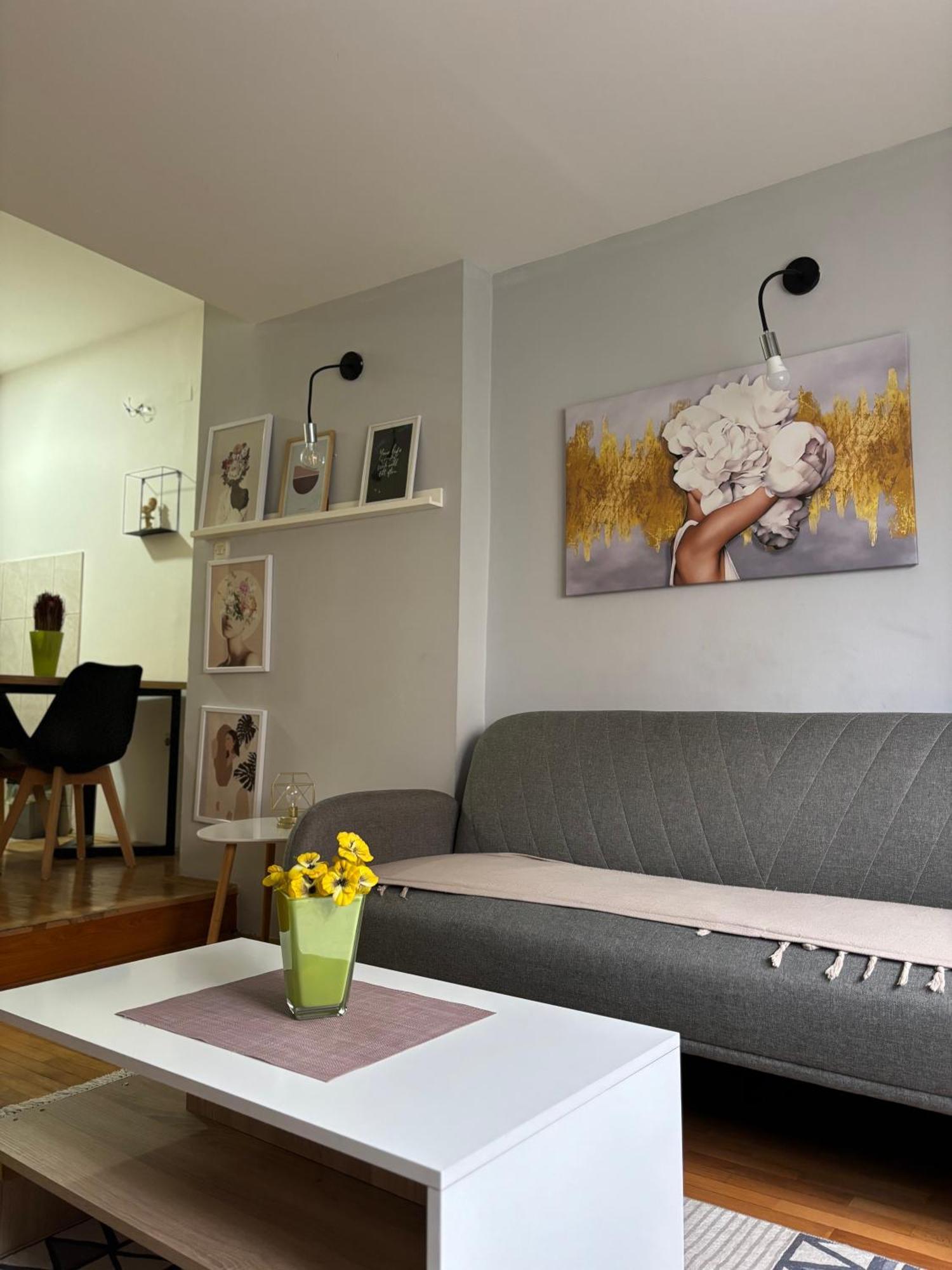Mia'S Duplex Apartment Skopje Extérieur photo